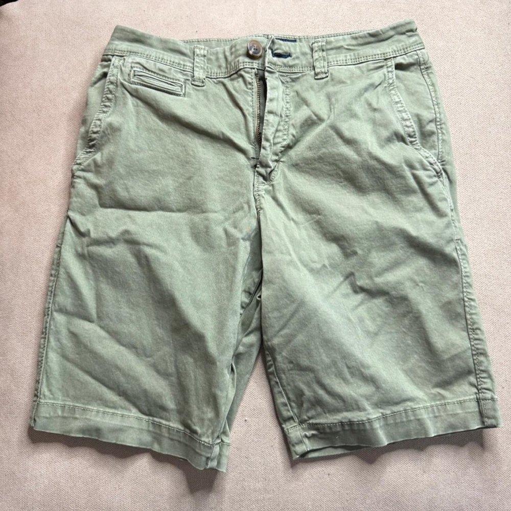American Eagle Outfitters Green Khaki Shorts